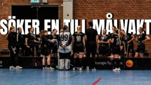 Palmstaden IK söker målvakt till damlaget – ny möjlighet i Division 2